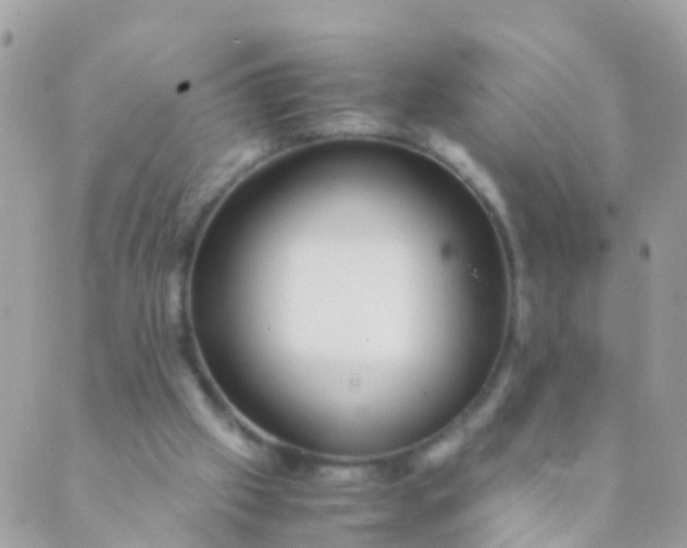 X0000089430057200707061354