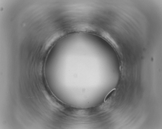 X0000089430058200707061354