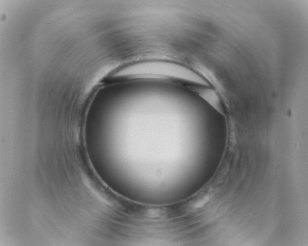 X0000089430060200707061354