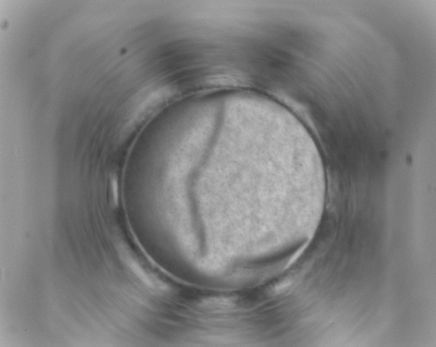 X0000089430061200707061354