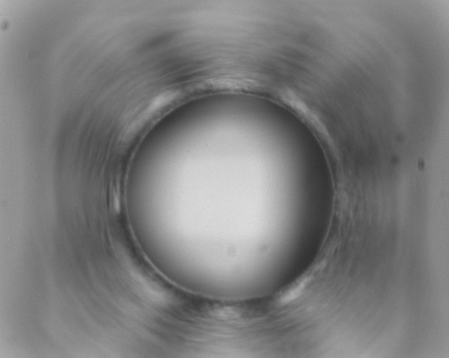 X0000089430062200707061354