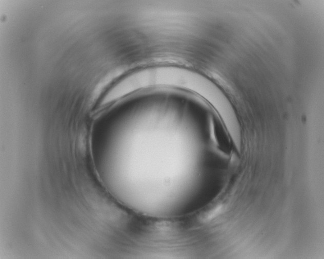 X0000089430064200707061354