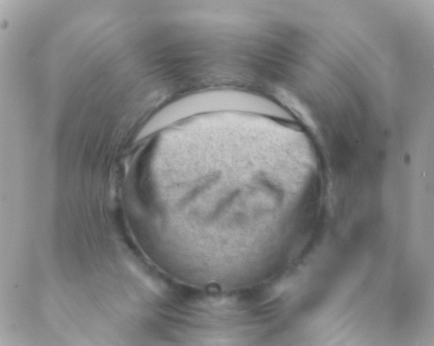 X0000089430065200707061354