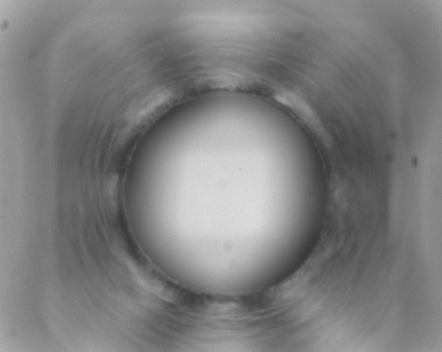 X0000089430066200707061354