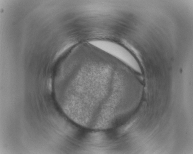 X0000089430067200707061354