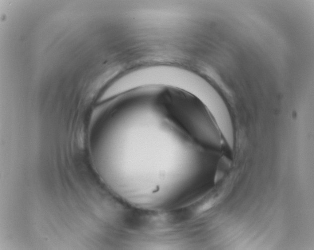 X0000089430068200707061354