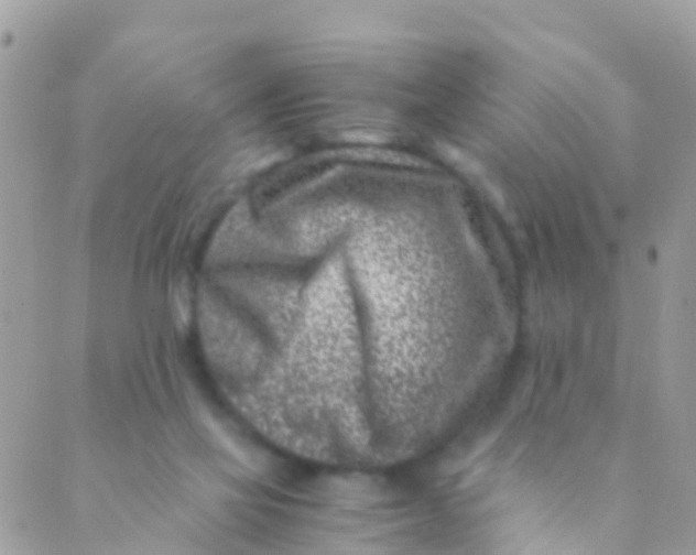 X0000089430069200707061354