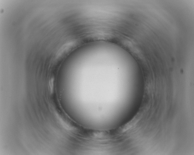 X0000089430070200707061354