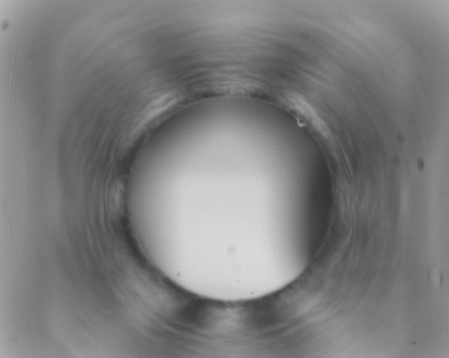 X0000089430071200707061354