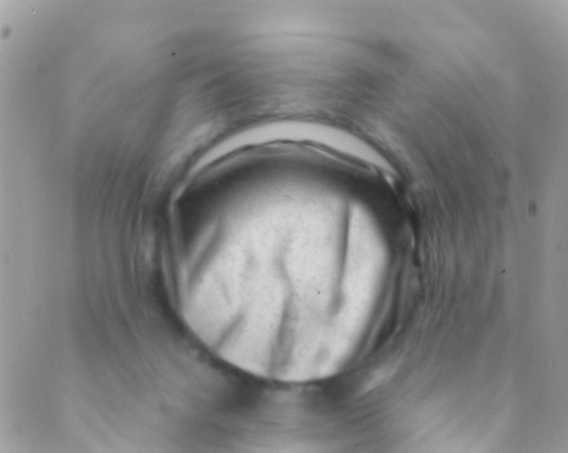 X0000089430072200707061354