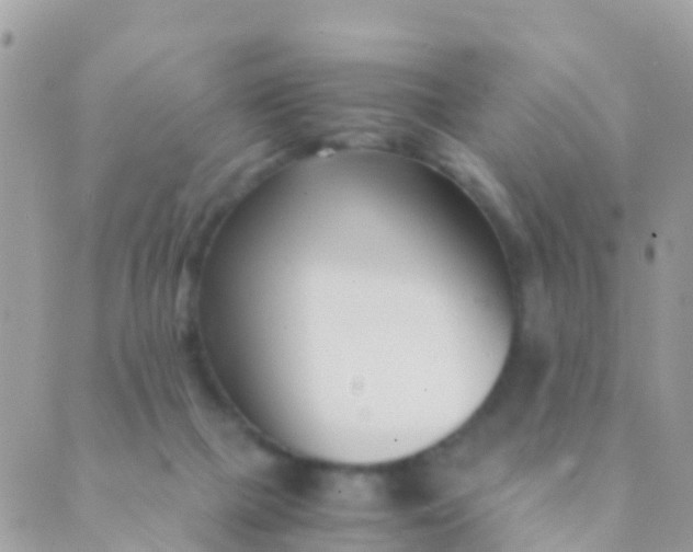 X0000089430073200707061354