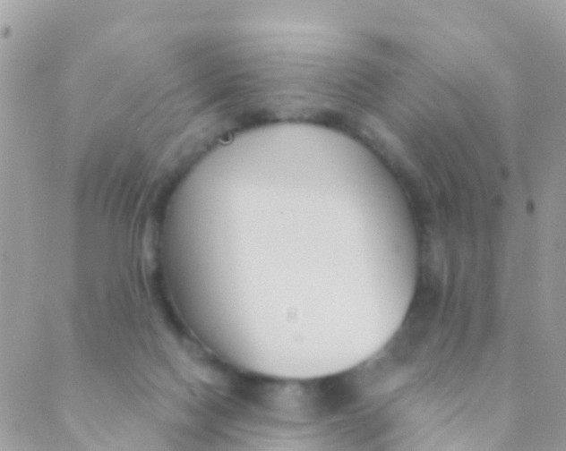 X0000089430074200707061354