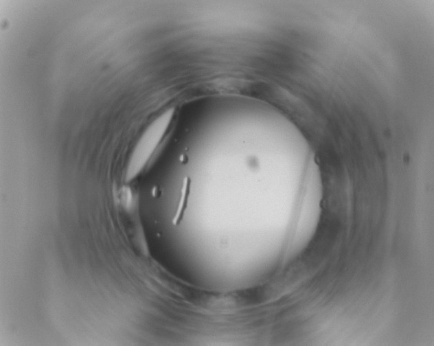 X0000089430075200707061354