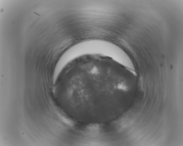 X0000089430076200707061354