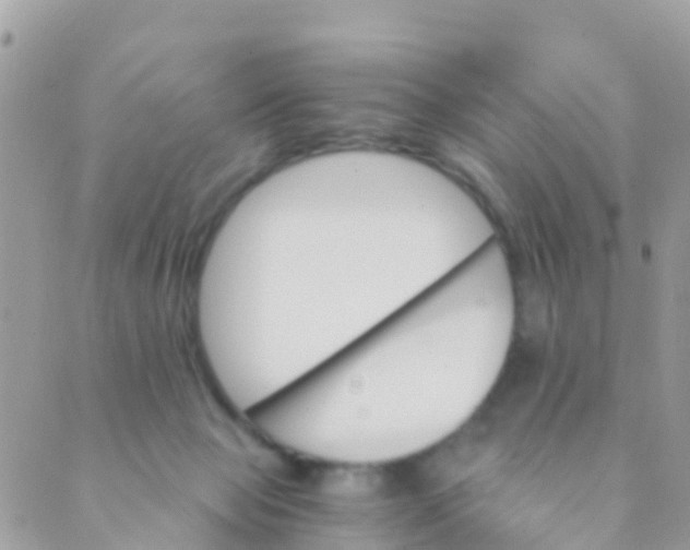 X0000089430077200707061354