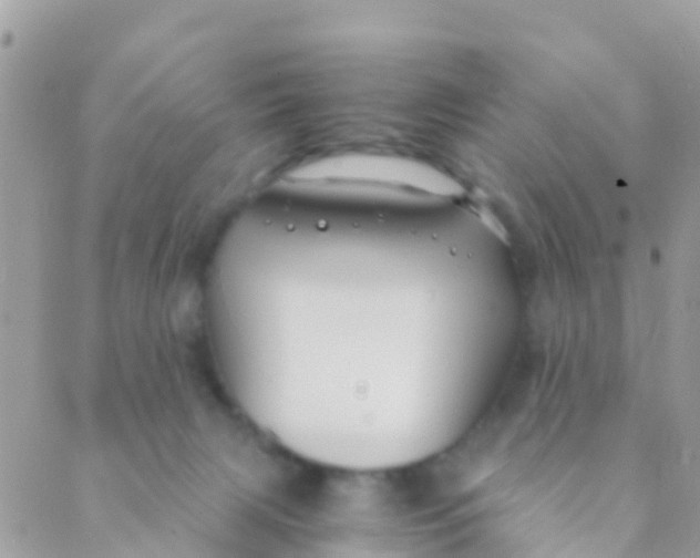 X0000089430079200707061354