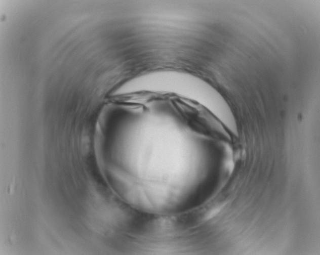 X0000089430080200707061354