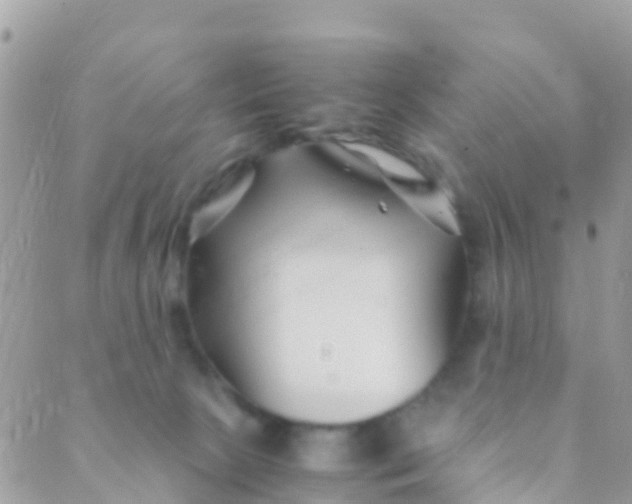 X0000089430081200707061354