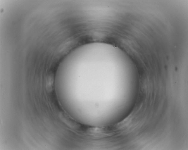 X0000089430082200707061354