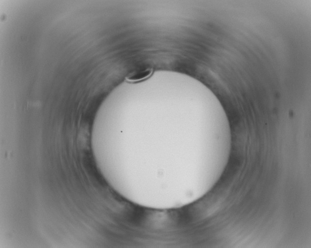 X0000089430083200707061354