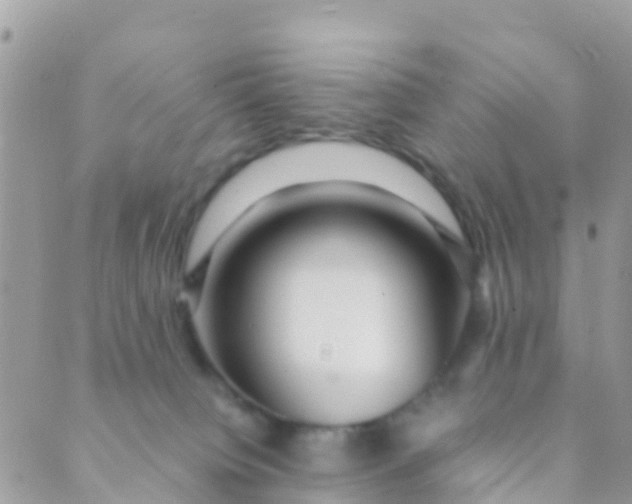 X0000089430084200707061354