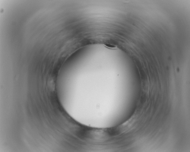 X0000089430086200707061354