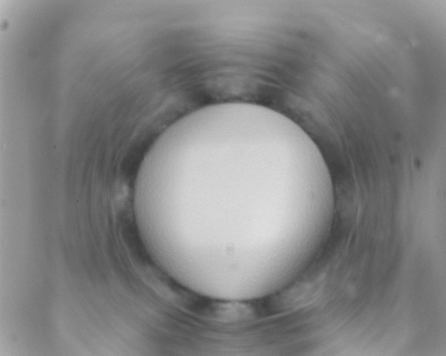 X0000089430087200707061354