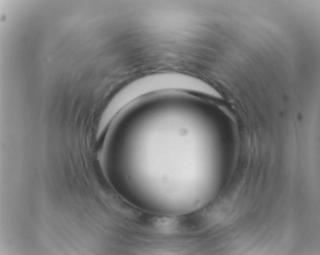 X0000089430088200707061354