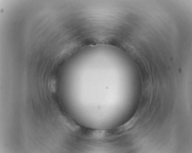 X0000089430090200707061354