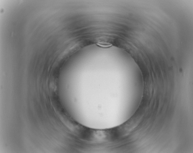 X0000089430091200707061354