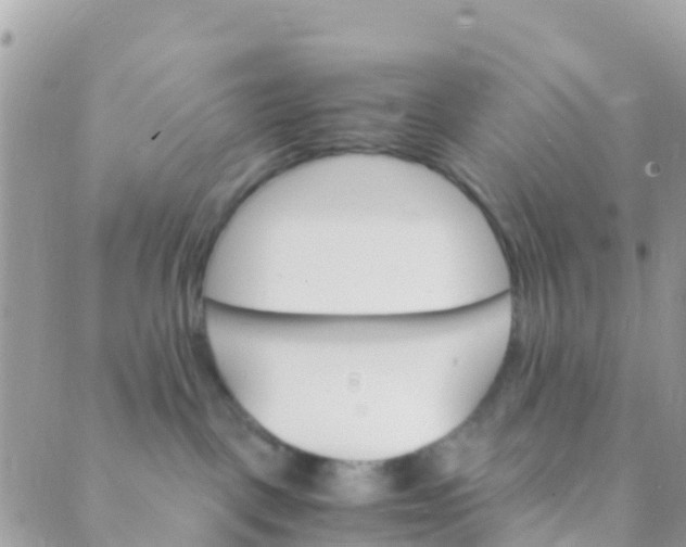 X0000089430093200707061354