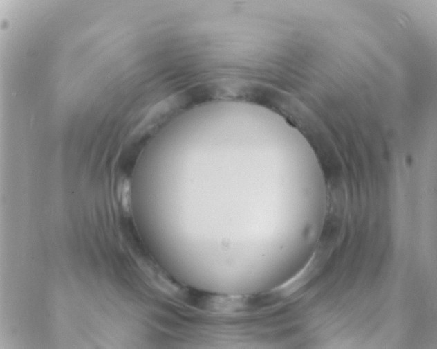 X0000089430094200707061354