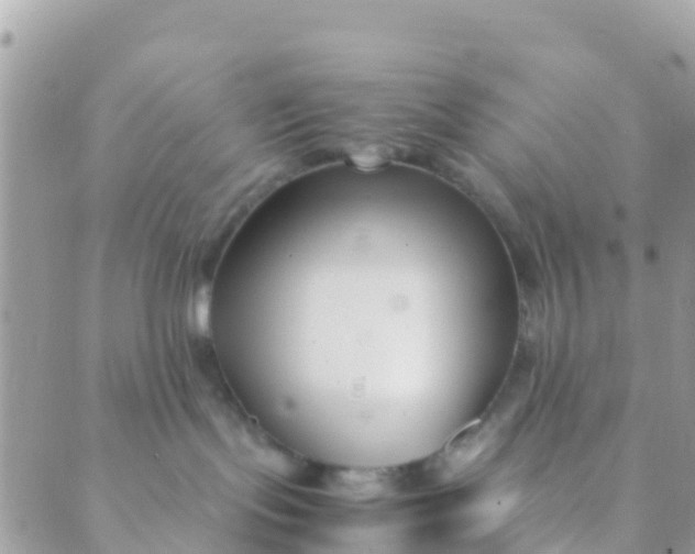 X0000089430095200707061354