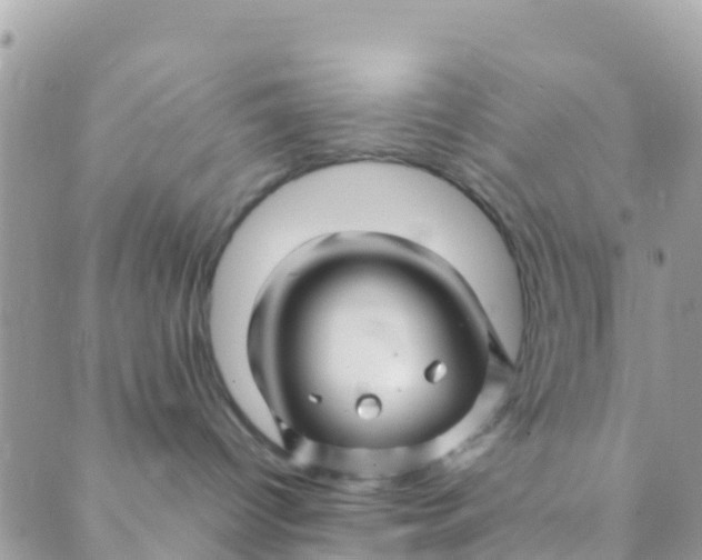 X0000089430096200707061354