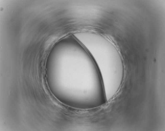 X0000089430097200707061353