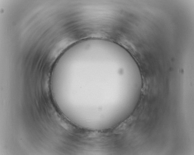 X0000089430098200707061353