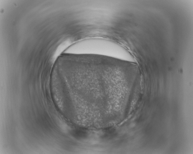 X0000089430099200707061353