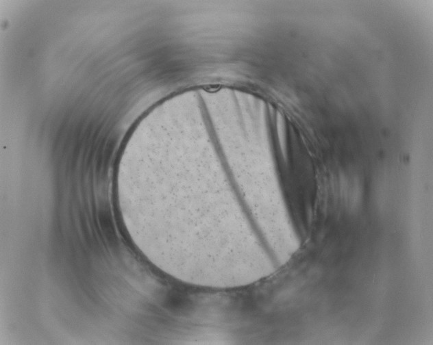 X0000089430100200707061353