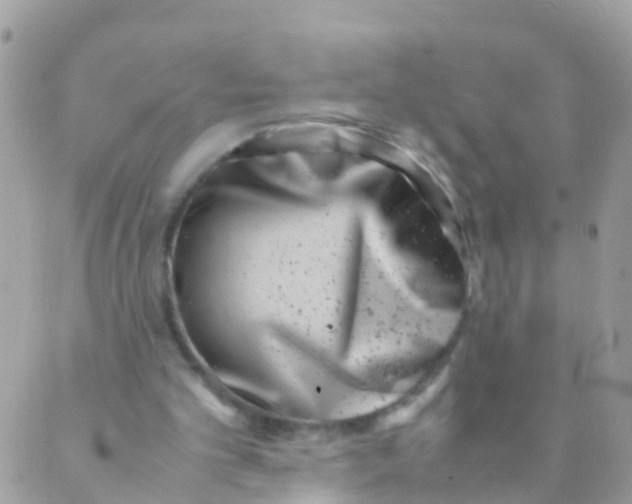 X0000089430101200707061353