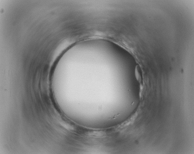 X0000089430102200707061353