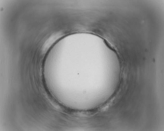 X0000089430103200707061353