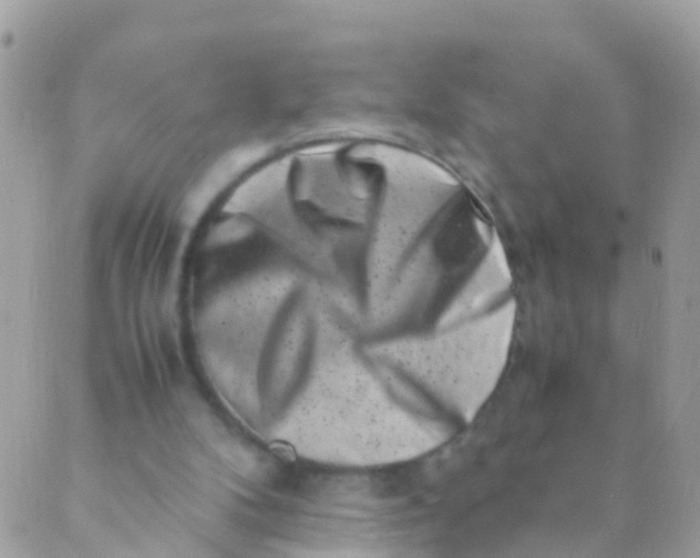 X0000089430104200707061353