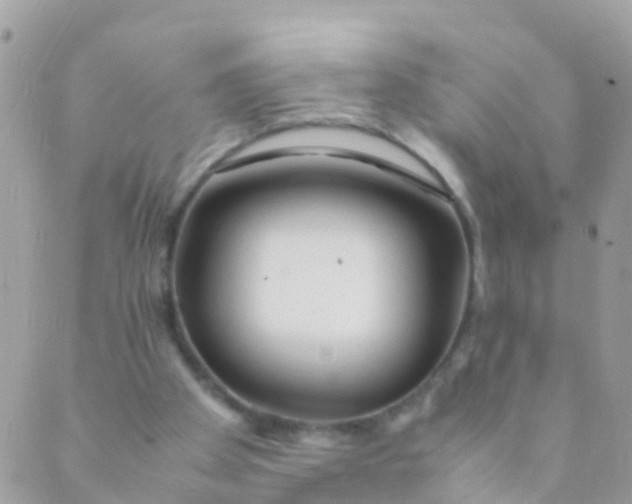 X0000089430105200707061353