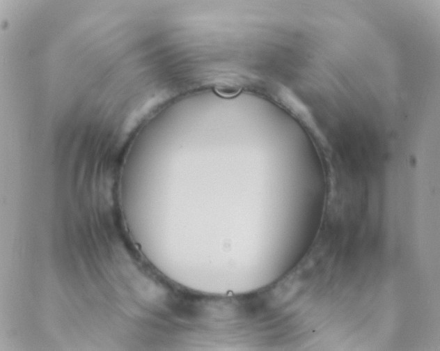 X0000089430106200707061353