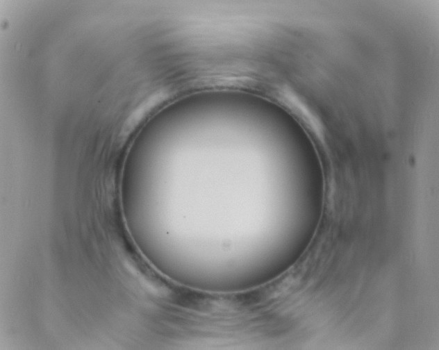 X0000089430107200707061353