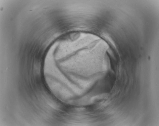 X0000089430108200707061353