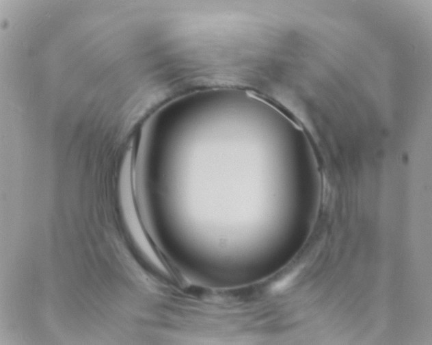 X0000089430109200707061353