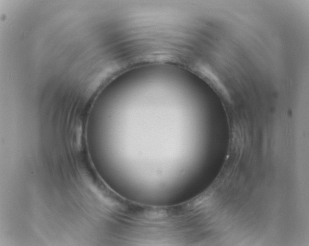 X0000089430110200707061353