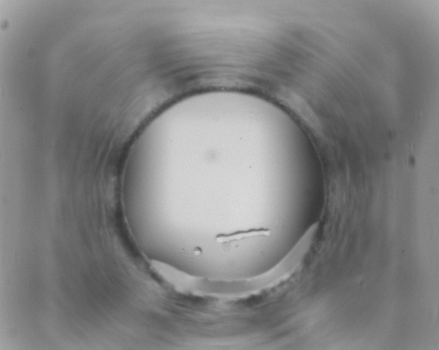 X0000089430111200707061353