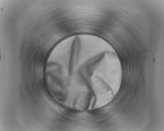 X0000089430112200707061353